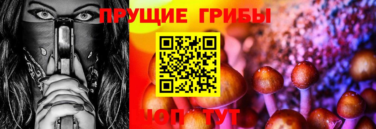 Псилоцибиновые грибы Cubensis  Вход с VPN  Урус-Мартан  Псилоцибиновые грибы Psilocybe 